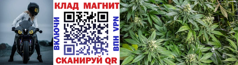 Виды наркотиков купить Шарыпово ГАШ Кокаин Меф Бошки Шишки