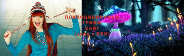 дмт Приозерск