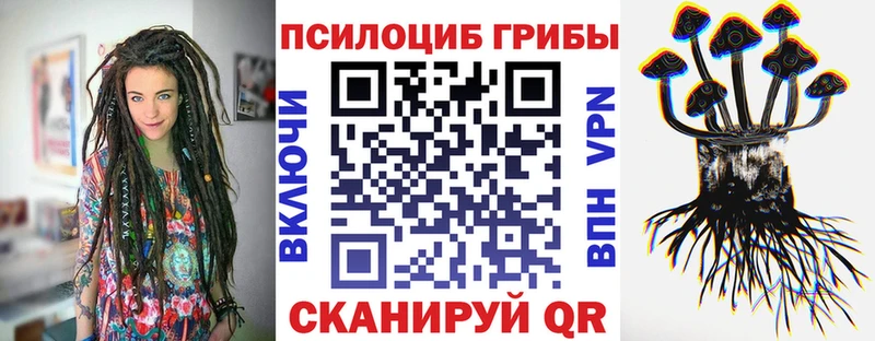 Псилоцибиновые грибы Psilocybine cubensis  Шарыпово 