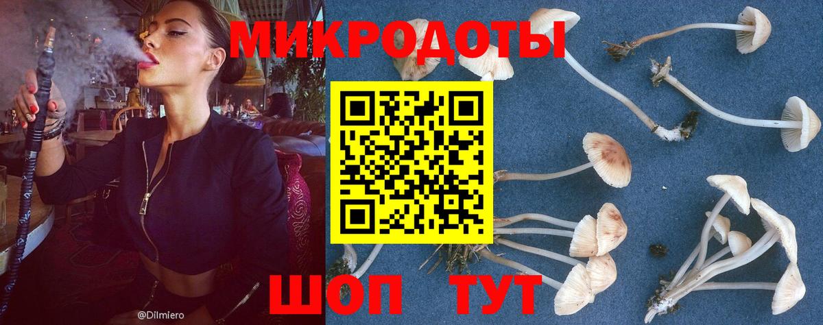 Шарыпово  Псилоцибиновые грибы MAGIC MUSHROOMS  Галлюциногенные грибы мицелий  Вход с VPN 